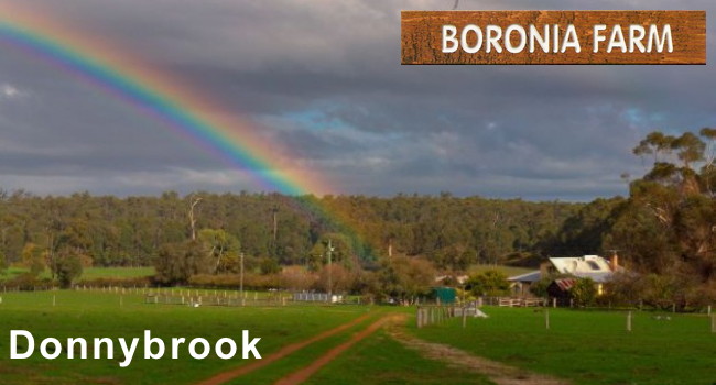 boronia farm donnybrook